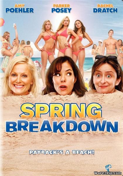 Весенний отрыв / Spring Breakdown (2009) DVDRip